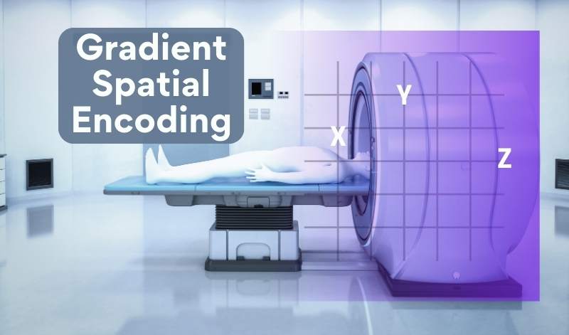 gradient spatial encoding, gradient in MRI, mri gradient