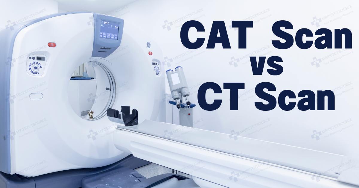 Cat Scan Computed Tomography