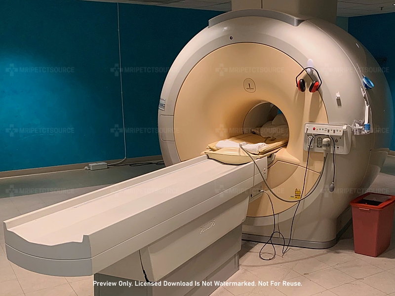 knee mri, mri scan for knee, mri scan on knee, how long does a knee mri take, mri scan knee, knee mri scan, mri scan of knee, knee scan, mri knee scan, mri on knee, knee mri machine, mri scan knee joint, knee mri what to expect, mri on knee what to expect, how long does knee mri take, mri of knee, knee mri procedure, mri of knee what to expect, mri procedure for knee, how long does mri take knee, how long does an knee mri take, what to wear for mri scan on knee, how is a knee mri done, mri knee procedure, how far into mri machine for knee, how long is an mri of the knee, how long do knee mris take, mri of the knee what to expect, knee scans, what to expect when getting an mri, how long is a knee mri, what to expect during an mri, what to expect during mri, what to expect knee mri